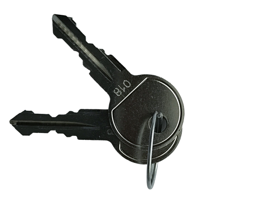 GTS02 #18 KEY (set of 2)